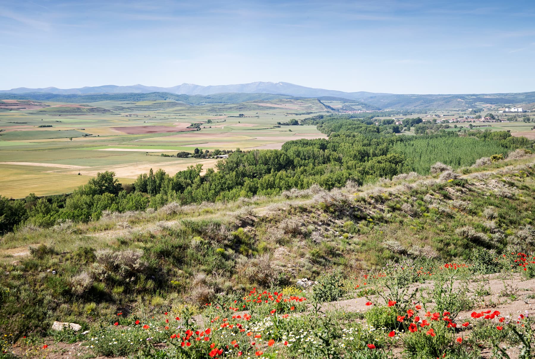 Descripción de la imagen